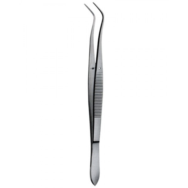 Tooth Tweezers